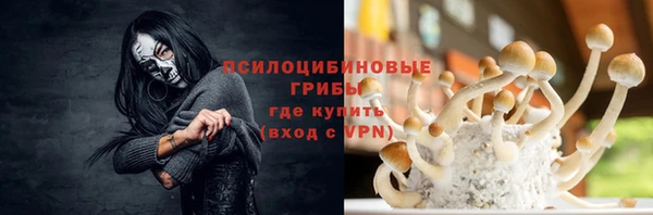 spice Алексеевка