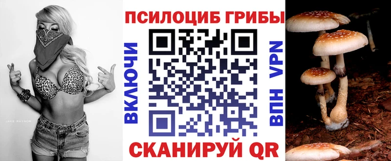 нарко площадка официальный сайт  Ленинск  Галлюциногенные грибы мицелий 